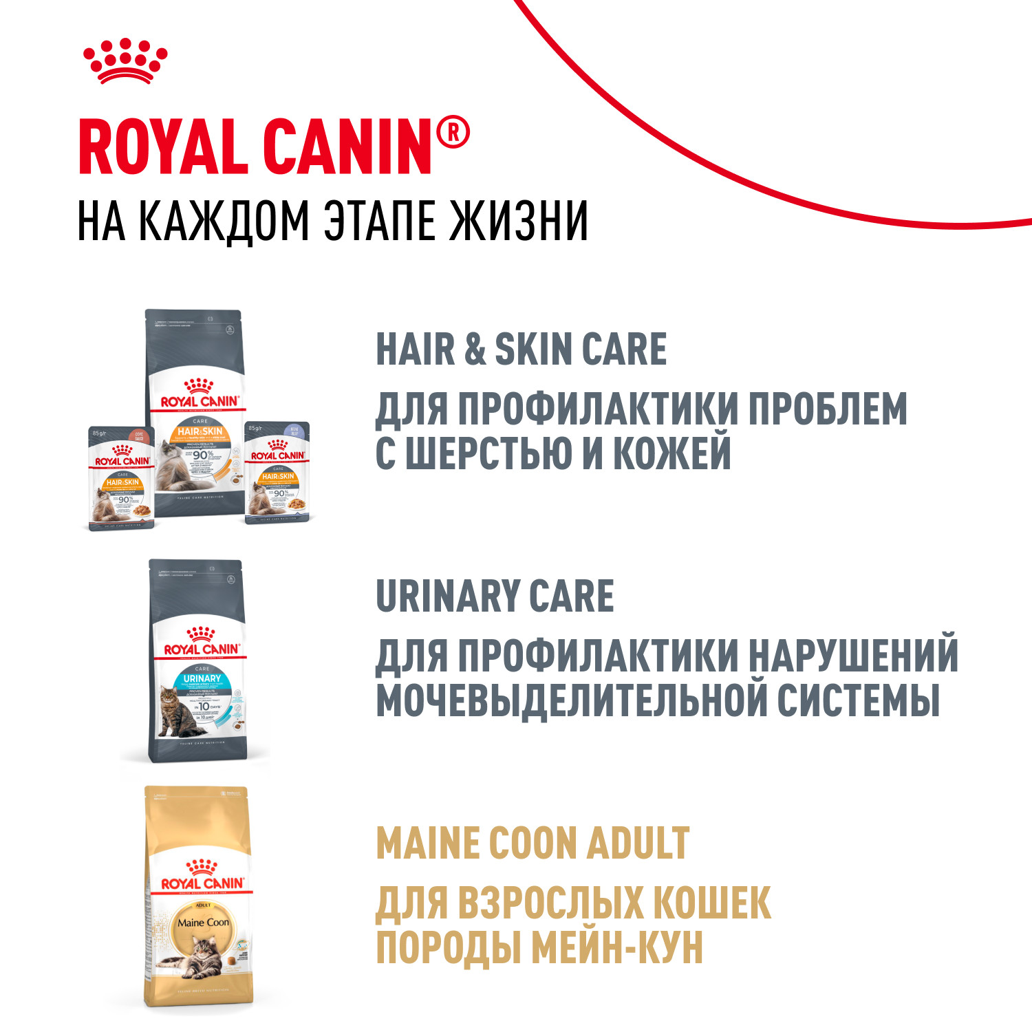 Корм для котят Royal Canin 400г Maine Coon породы мейн-кун - фото 10