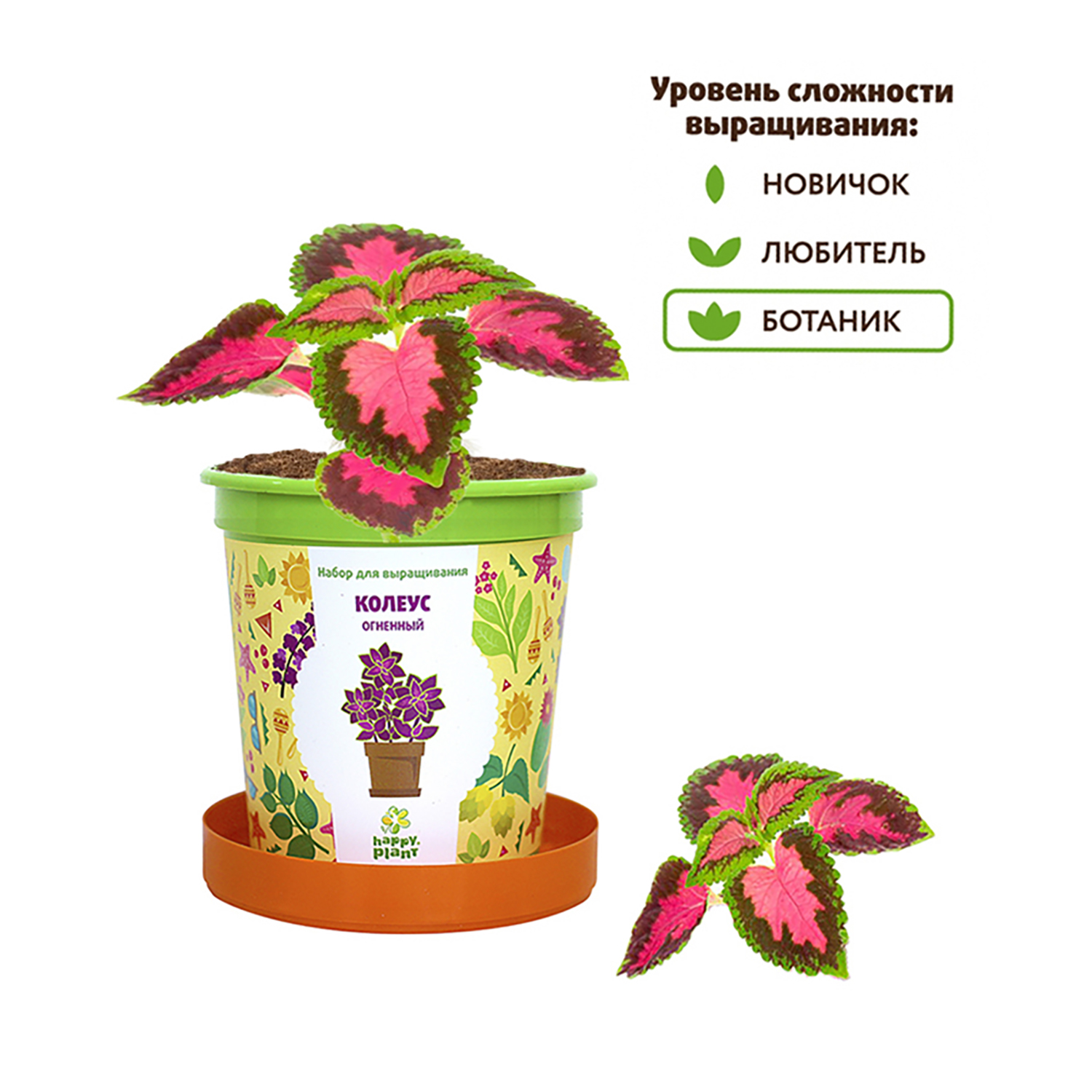 Набор для выращивания Happy Plant - фото 5