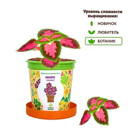 Набор для выращивания Happy Plant