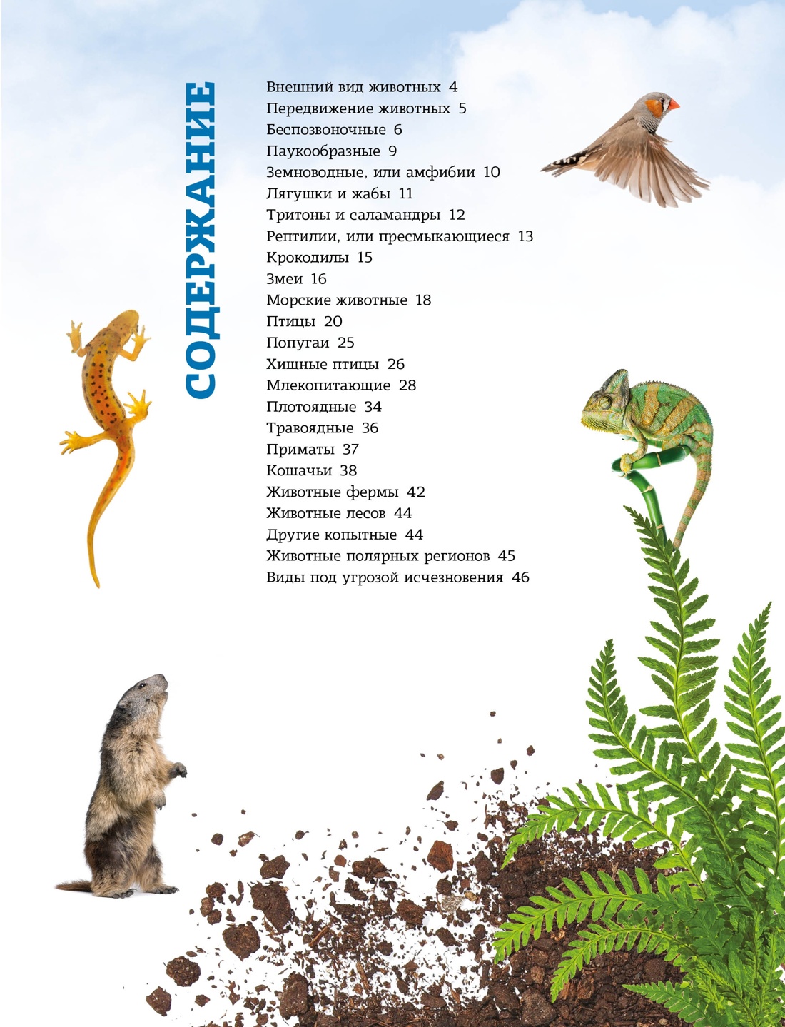 Книга Махаон Школьный комплект всезнайки из 3 х книг - фото 4