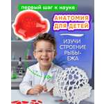 Набор для опытов 1TOY