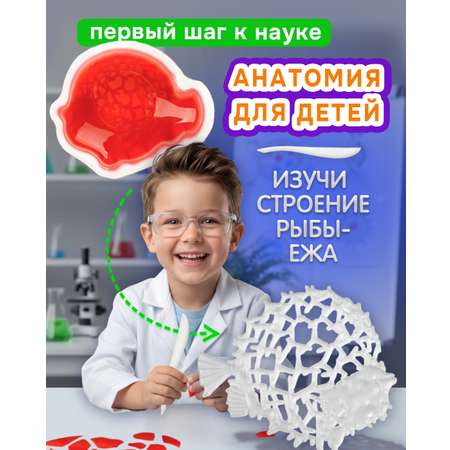 Набор для опытов 1TOY