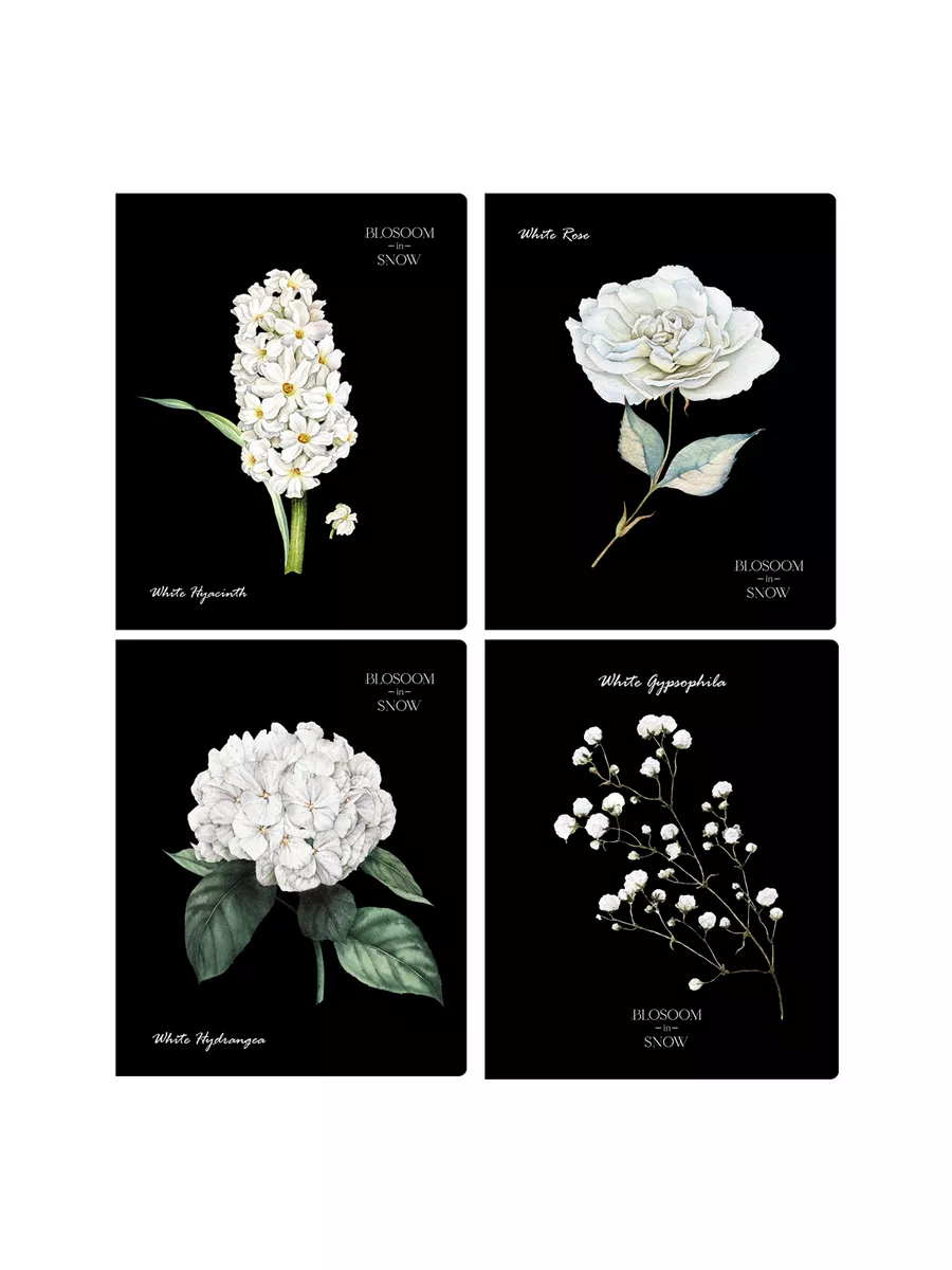 Тетрадь BG клетка 48 лист. 4 шт. - фото 8