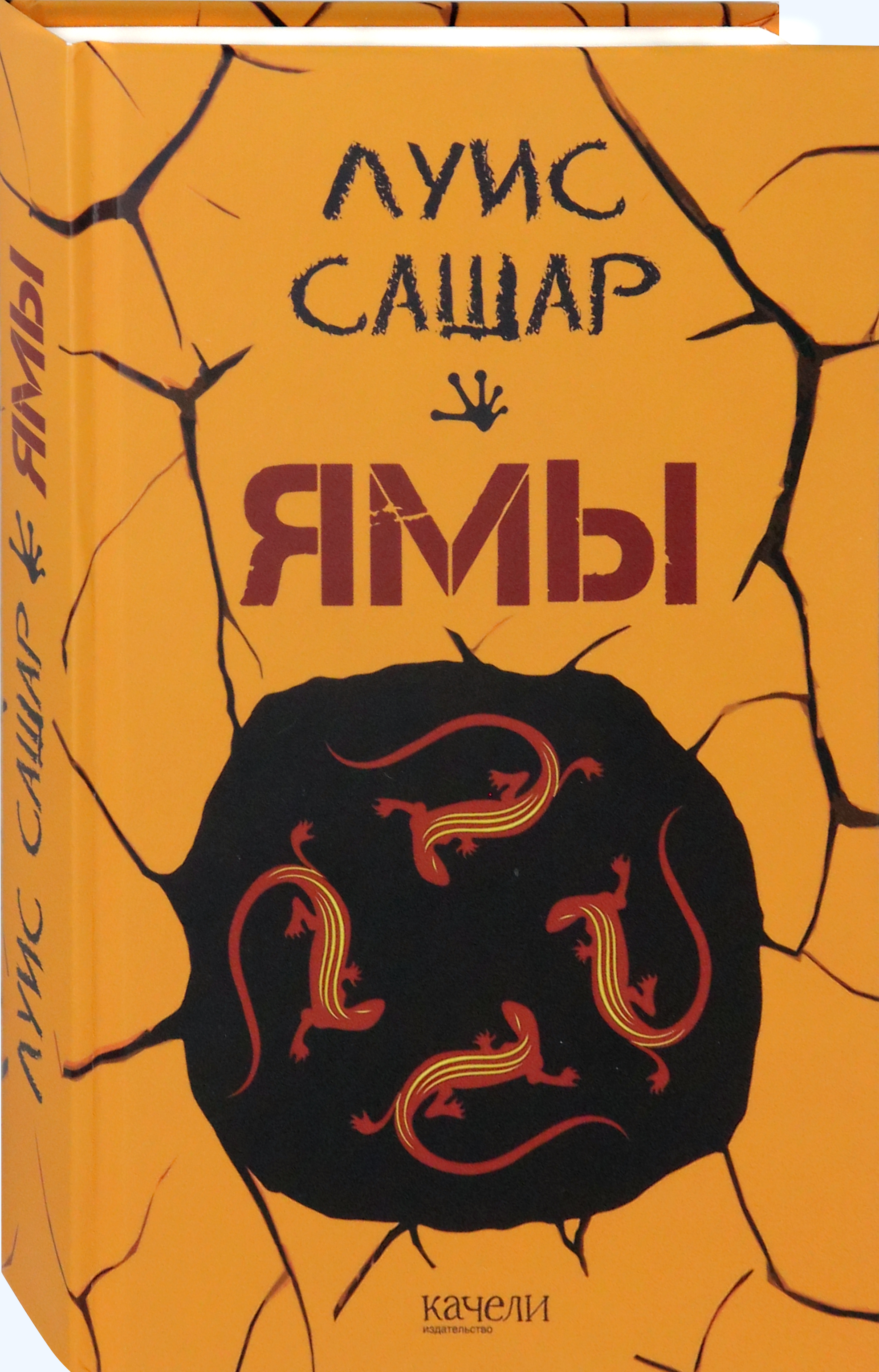Книга Качели Ямы - фото 2