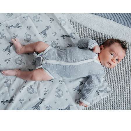 Боди BabyEdel