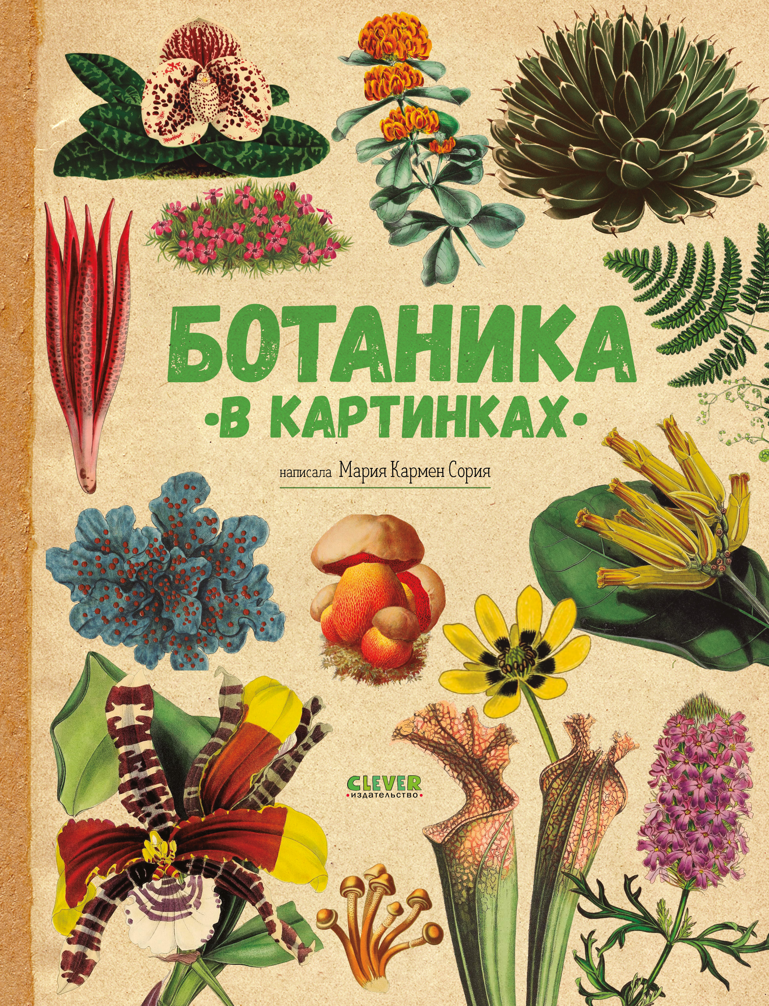 Книга Clever Удивительные энциклопедии - фото 1