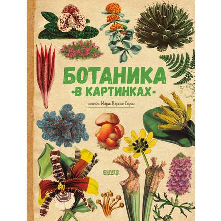 Книга Clever Удивительные энциклопедии