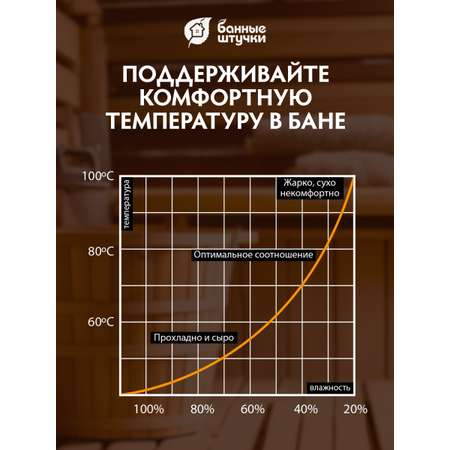 Термометр с гигрометром Банные штучки Банная станция