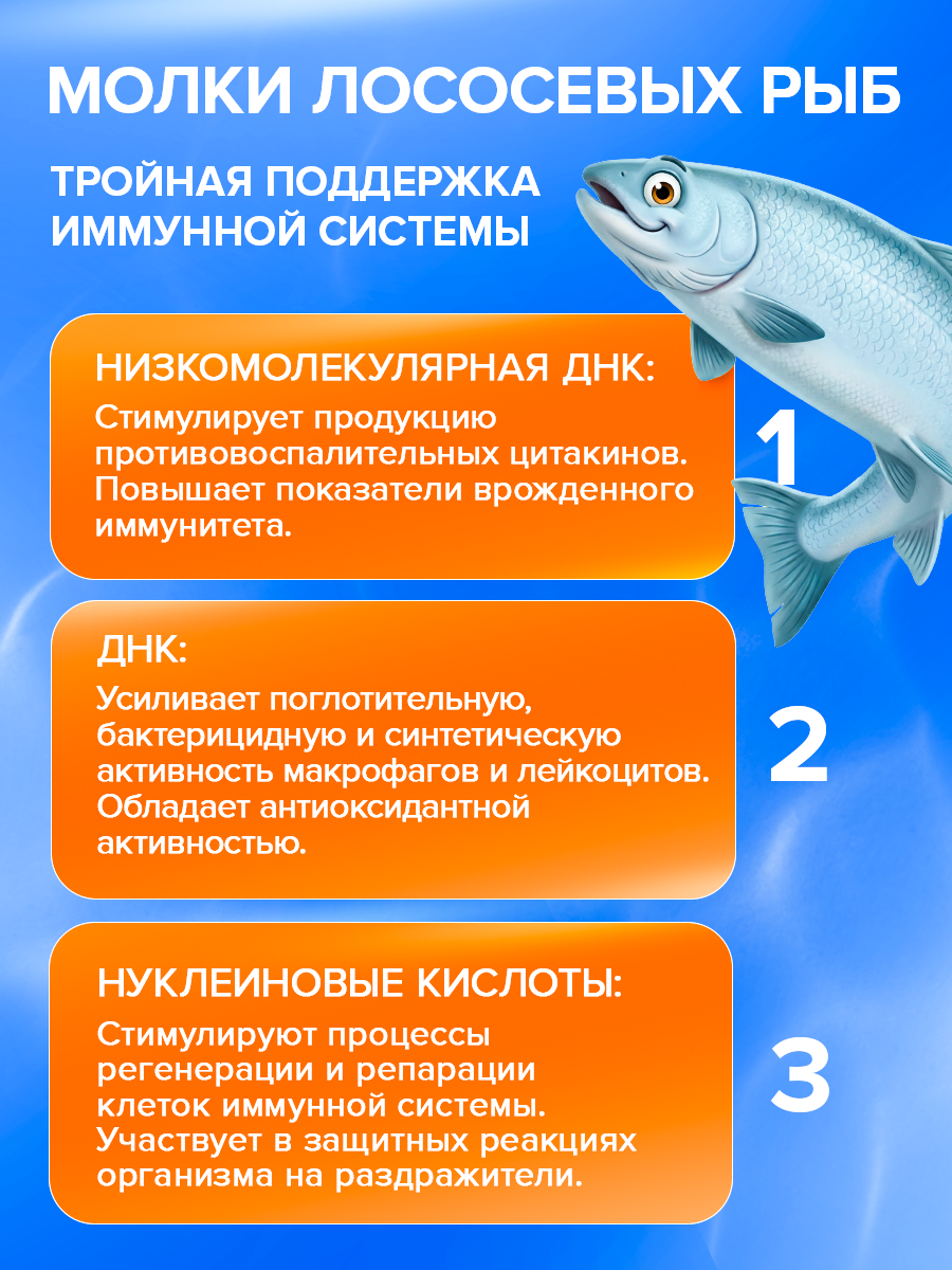 ИммуноСтимул Доктор Море морской комплекс витаминов защита от вирусов и бактерий от простуды и гриппа 20 капсул - фото 7