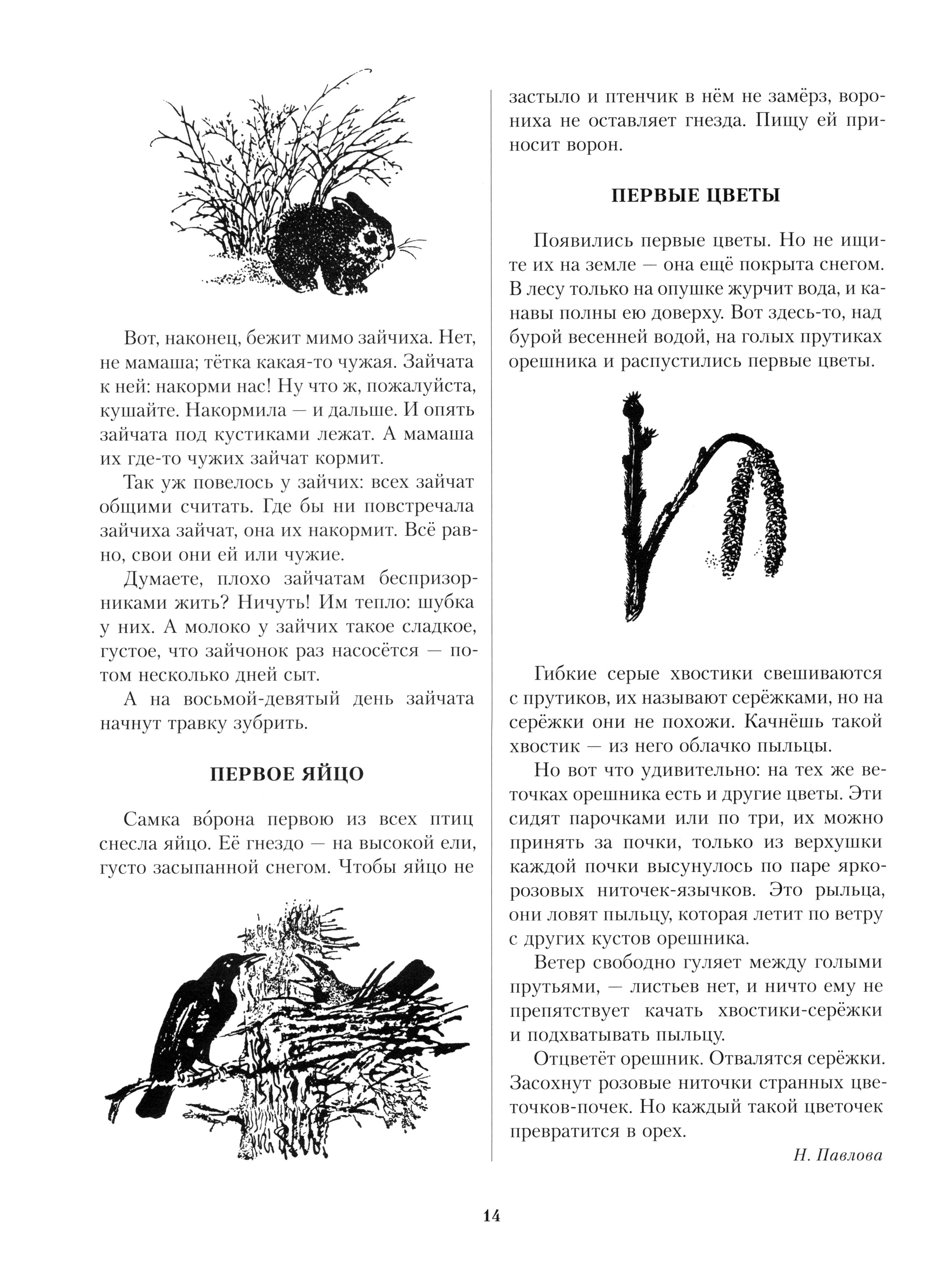 Книга ИД Мещерякова Лесная газета Весна - фото 3
