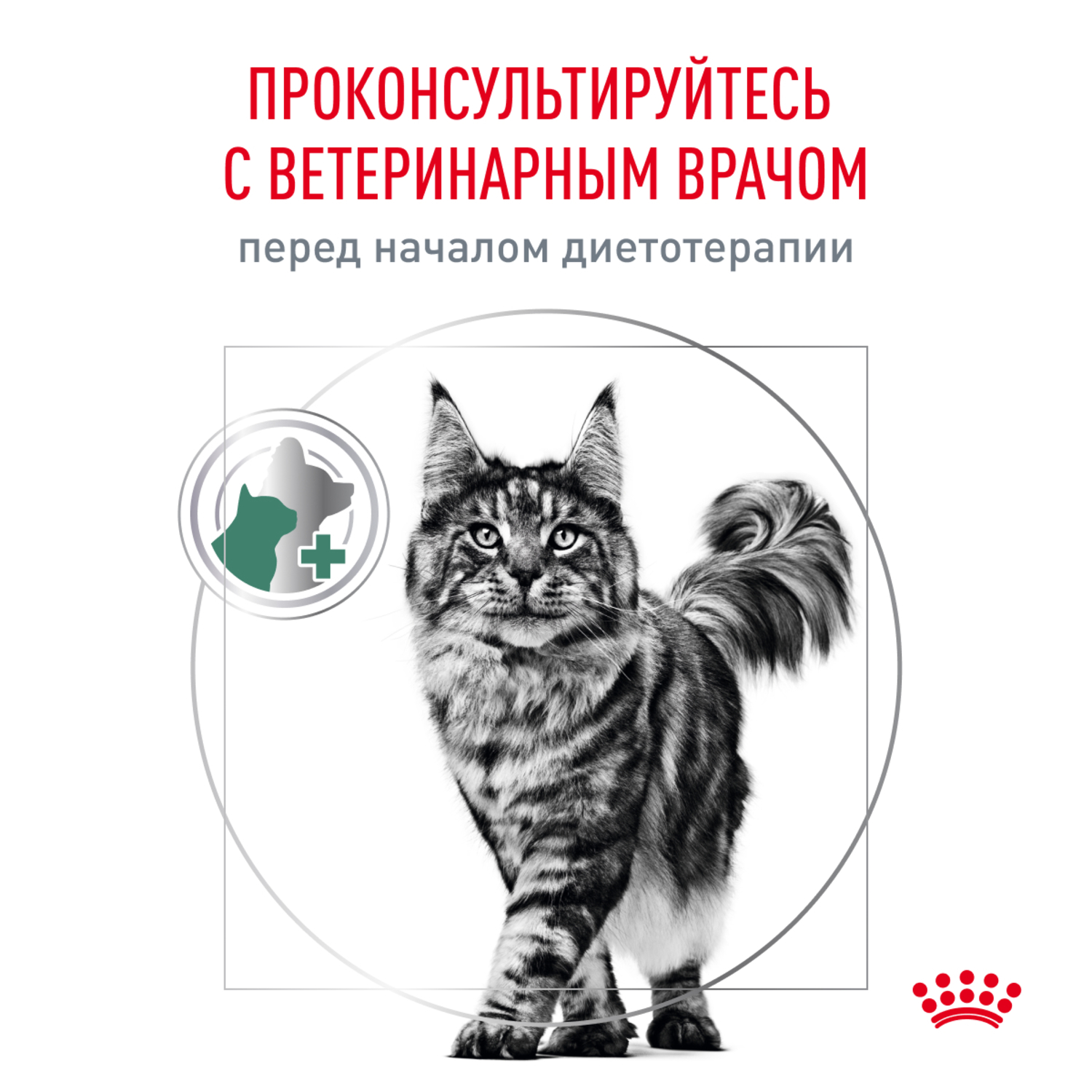 Корм для кошек ROYAL CANIN Satiety Weight Management для снижения веса сухой 350г - фото 9