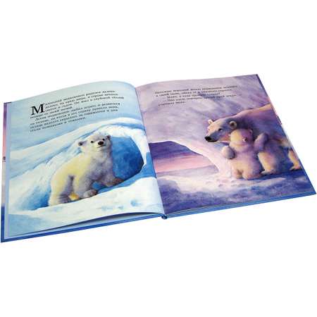 Книга Добрая книга Как медвежонок солнце искал