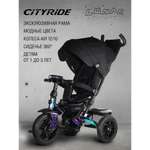 Трехколесный велосипед CITYRIDE