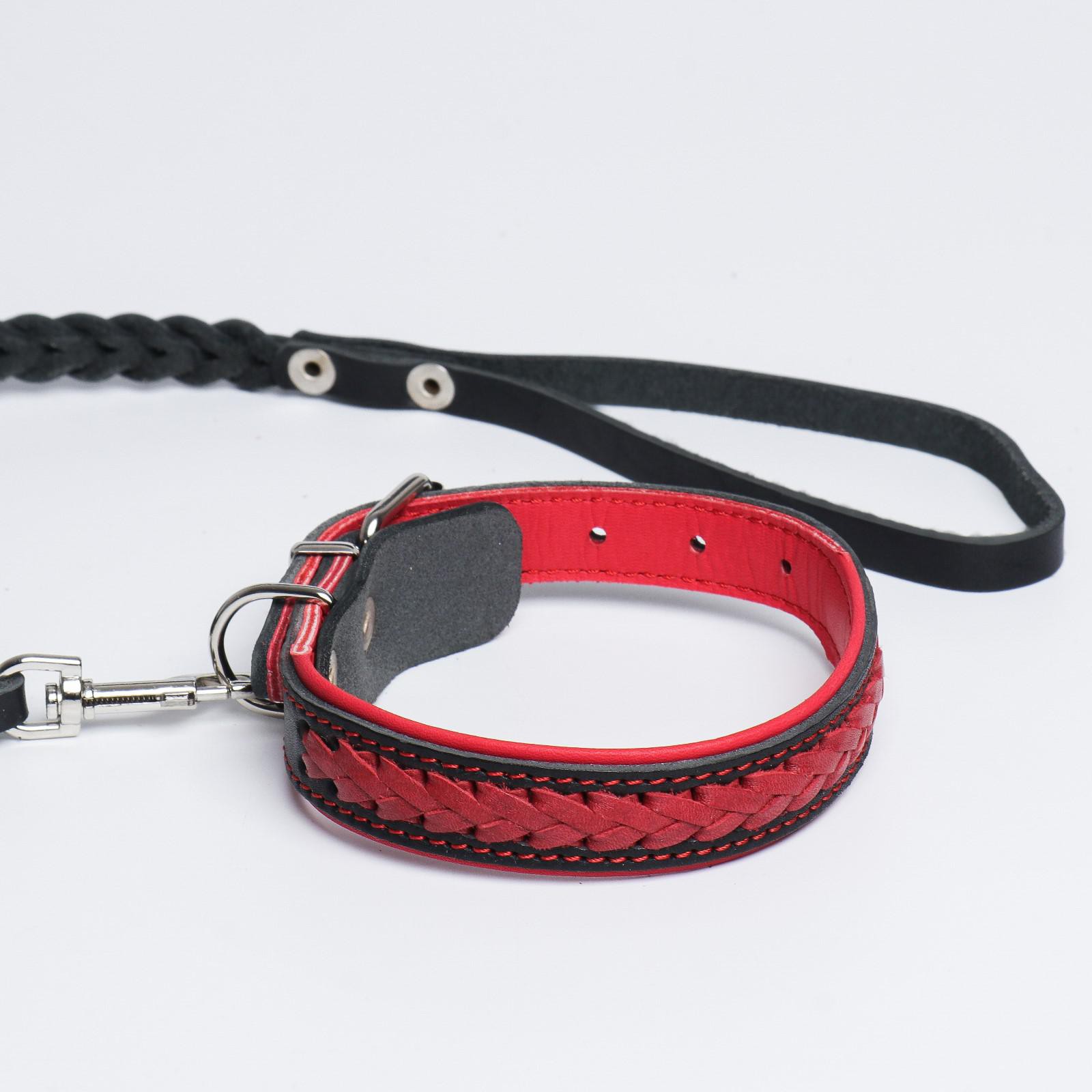 Комплект Пушистое счастье ошейник и поводок с косой чёрный с красным - фото 3