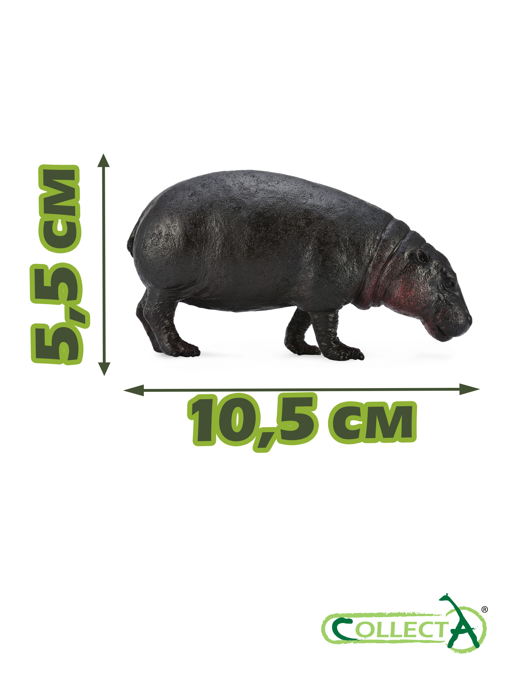 Фигурка Collecta Карликовый бегемот - фото 2