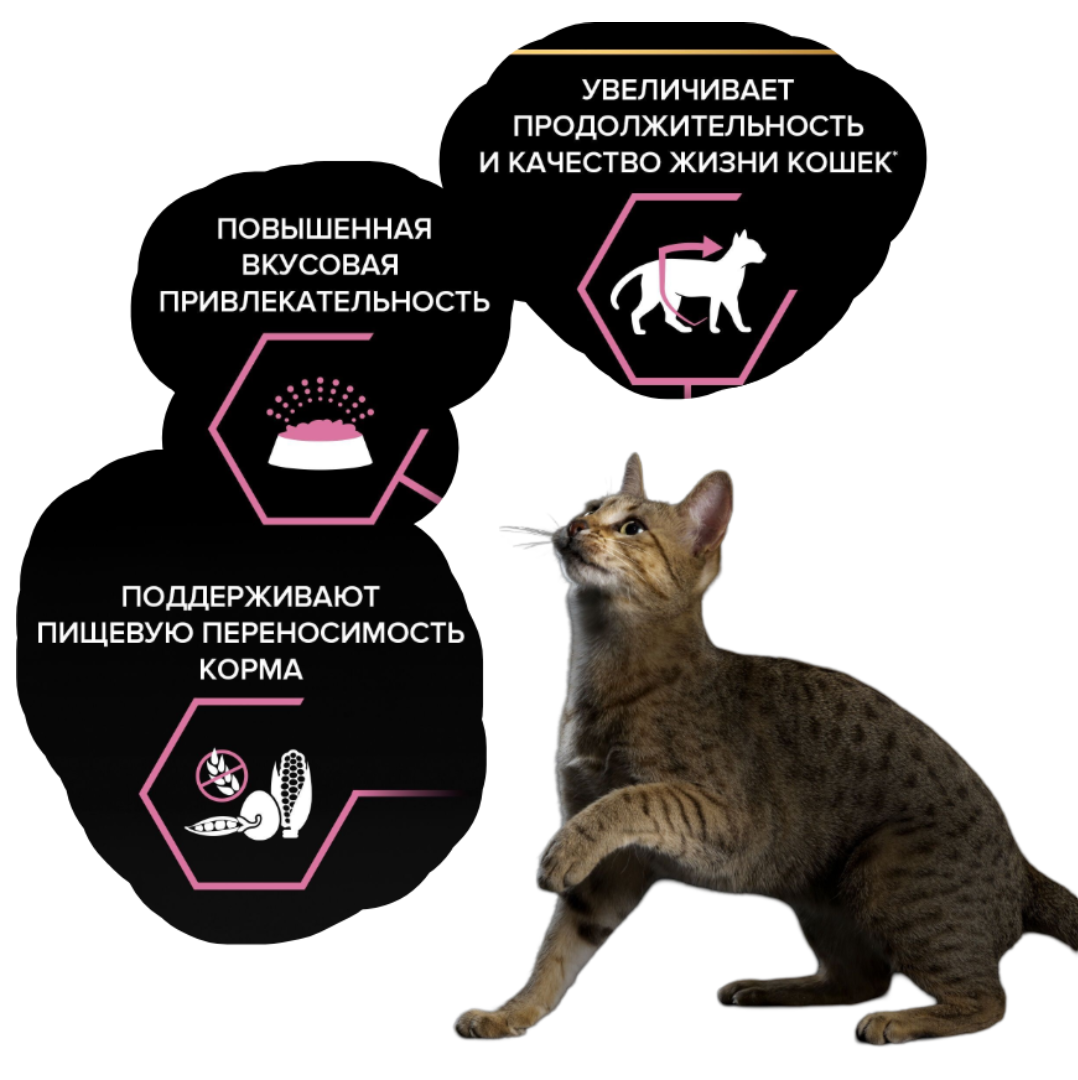 Сухой корм PRO PLAN LongEvis Delicate Senior 7+ - фото 5