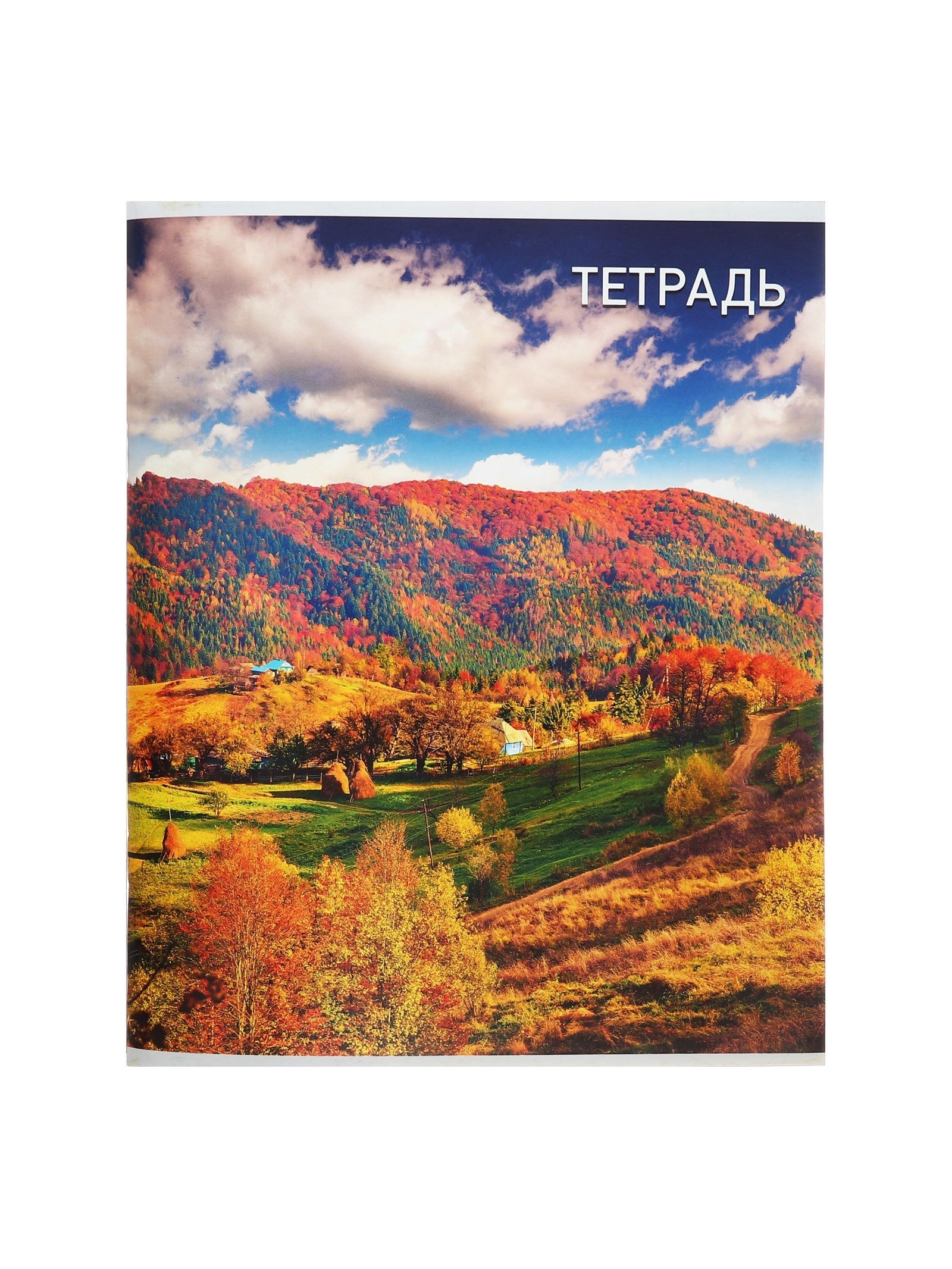 Тетрадь Calligrata клетка - фото 7