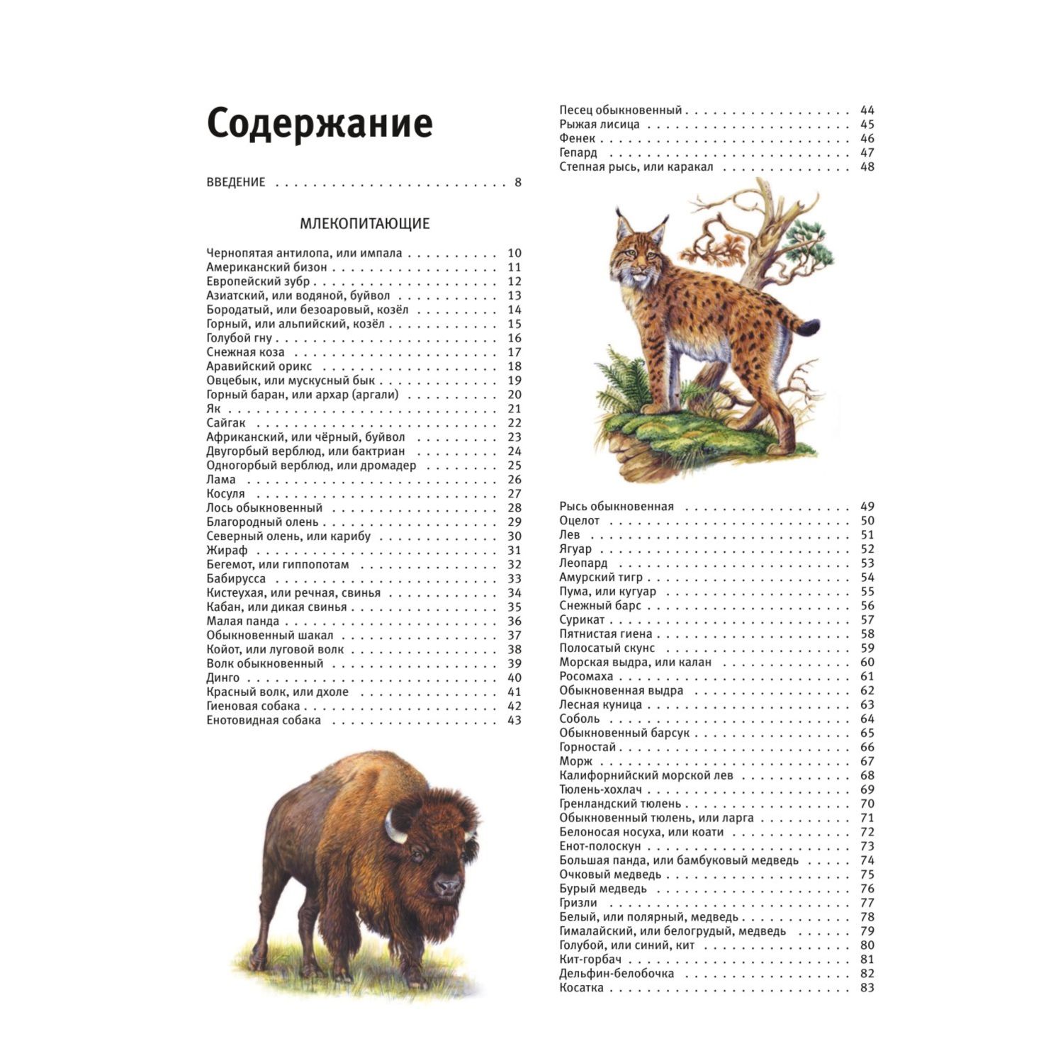 Книга Животные Все обитатели нашей планеты - фото 2