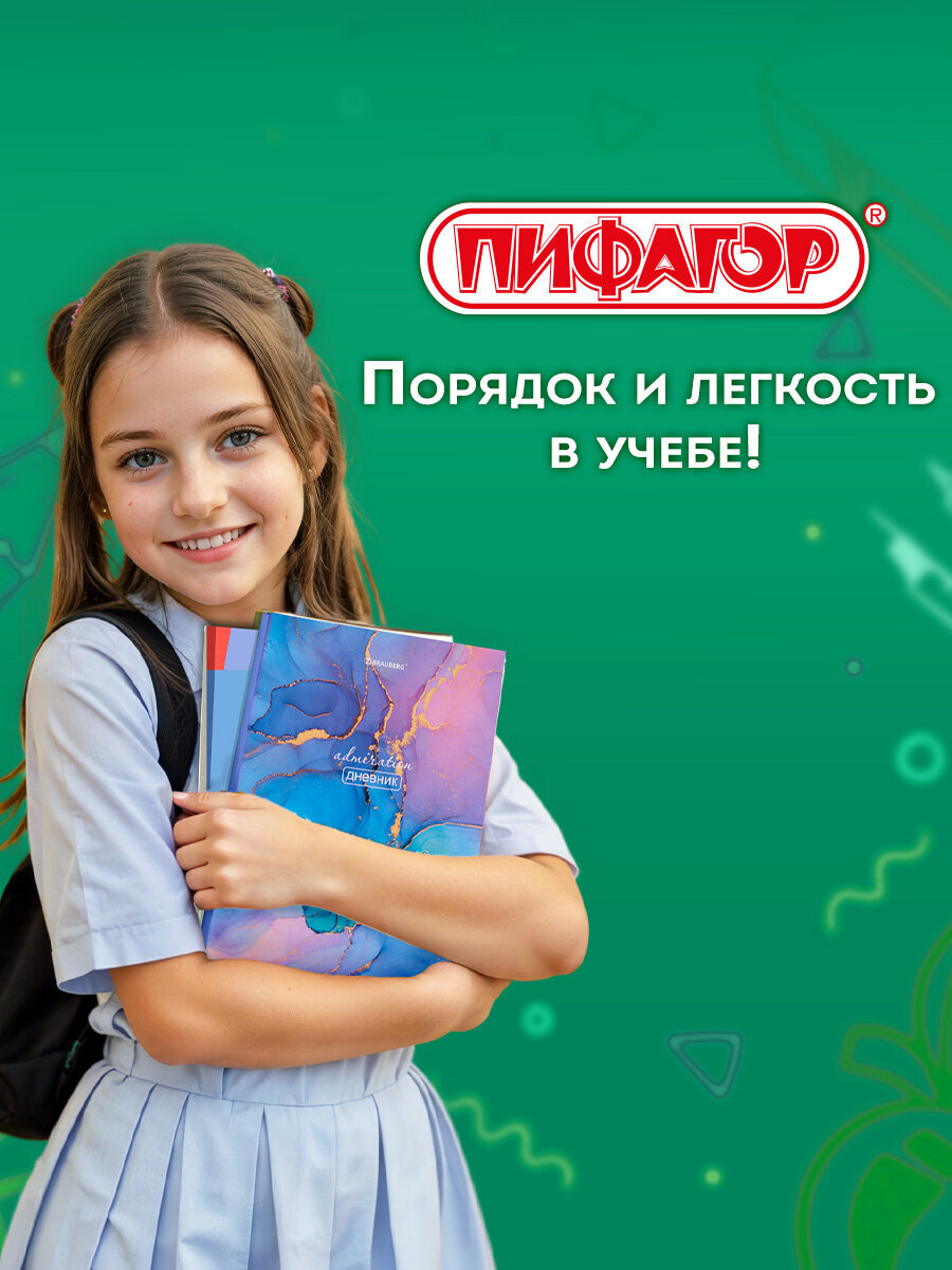 Обложка Пифагор 20 шт. - фото 6