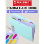 Папка-органайзер Brauberg А4