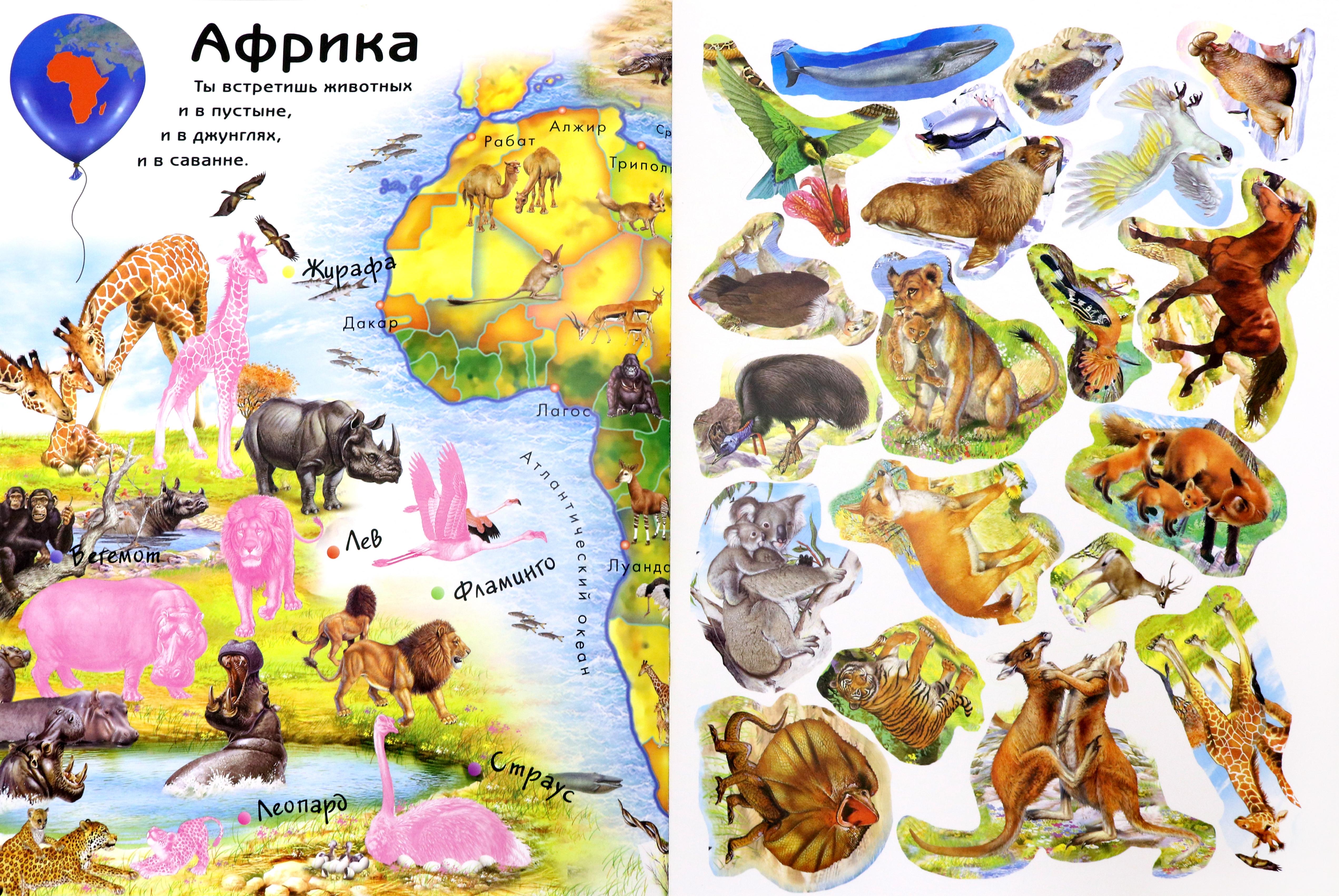 Книга Лабиринт Мой большой атлас животных 80 многоразовых наклеек - фото 3