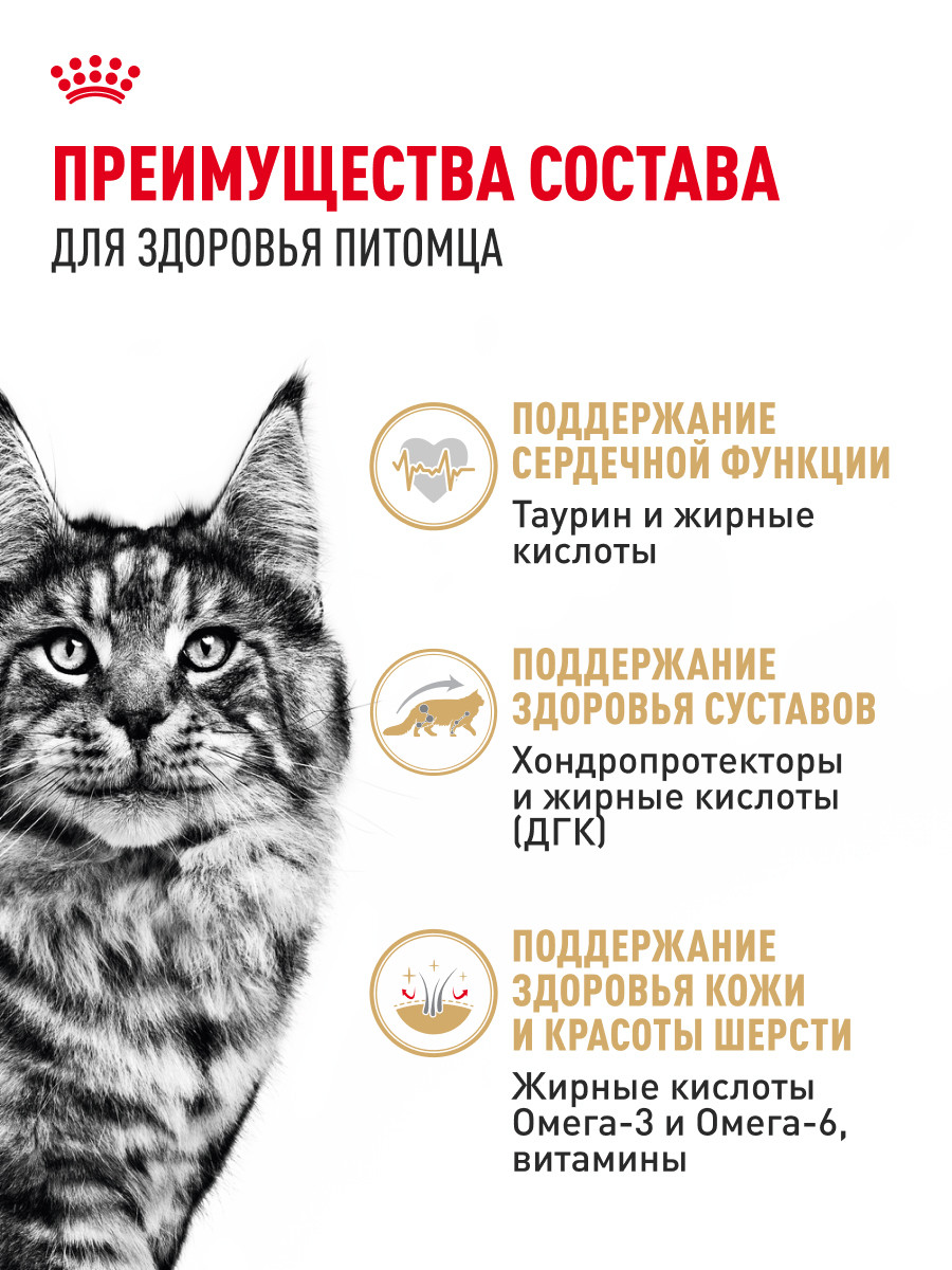 Корм для кошек ROYAL CANIN Мейн кун соус 85г - фото 3