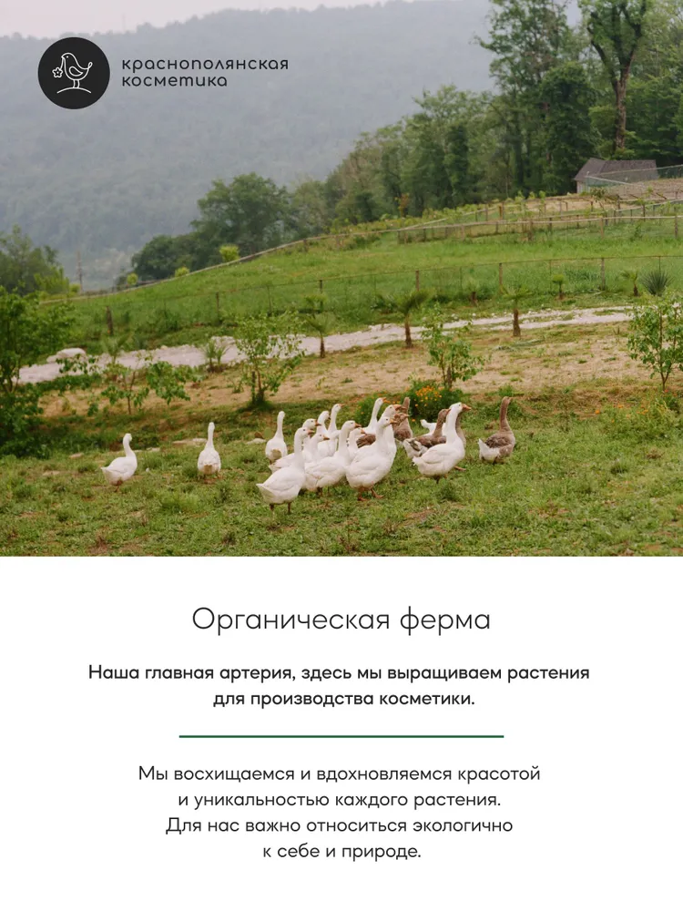 Лосьон Краснополянская косметика Сила гор 300 мл - фото 8