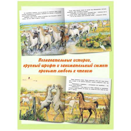 Комплект книг Фламинго Сказки для детей Рассказы о животных Приключения Котенка Волчонка Зайчонка Жеребенка