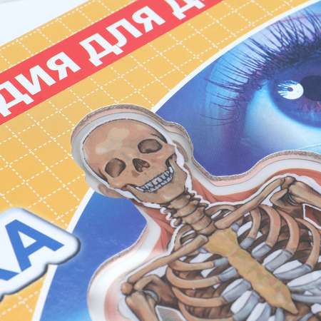 Энциклопедия УМка Тело человека