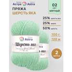 Пряжа Astra Premium Шерсть яка Yak wool теплая мягкая 100 г 120 м 02 мятный 2 мотка