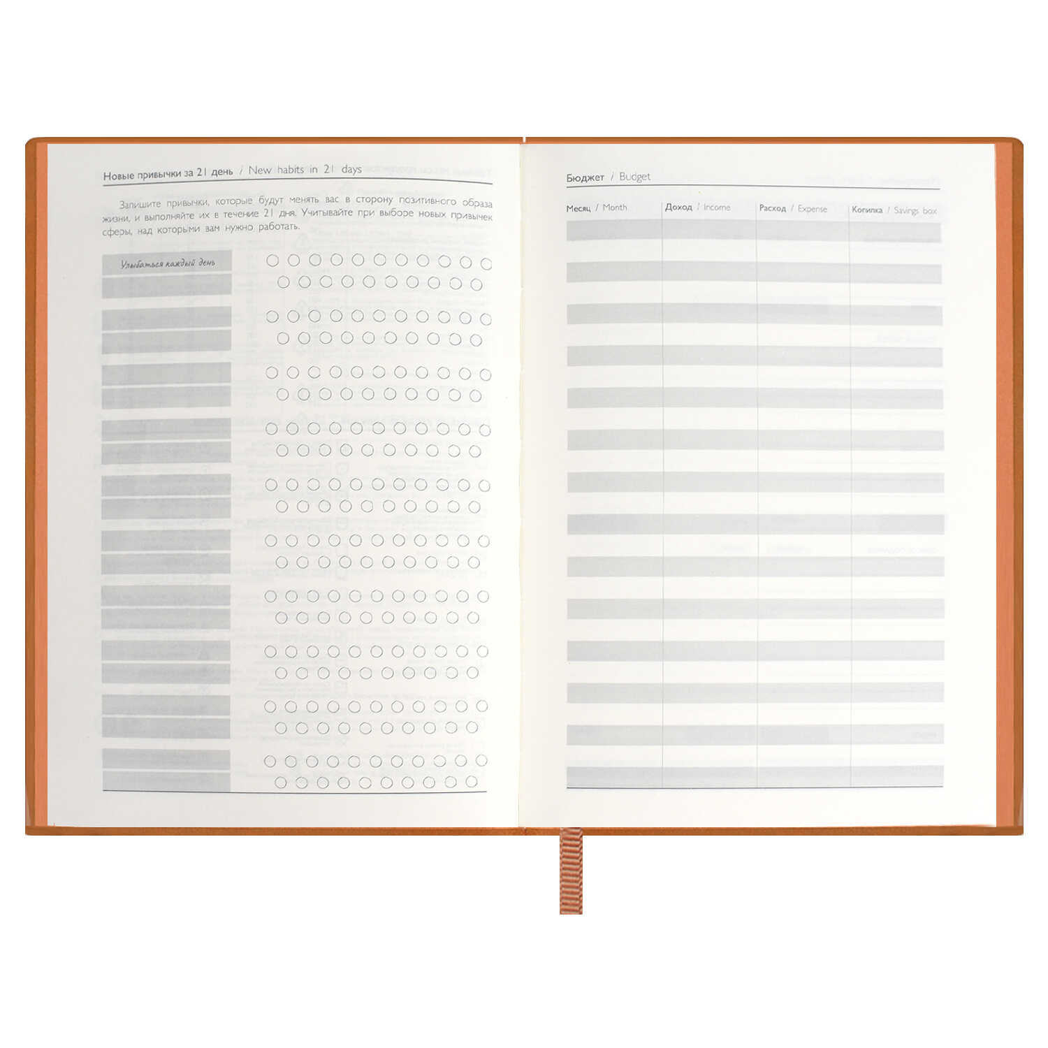 Ежедневник Феникс + ESCALADA 160 лист. - фото 15