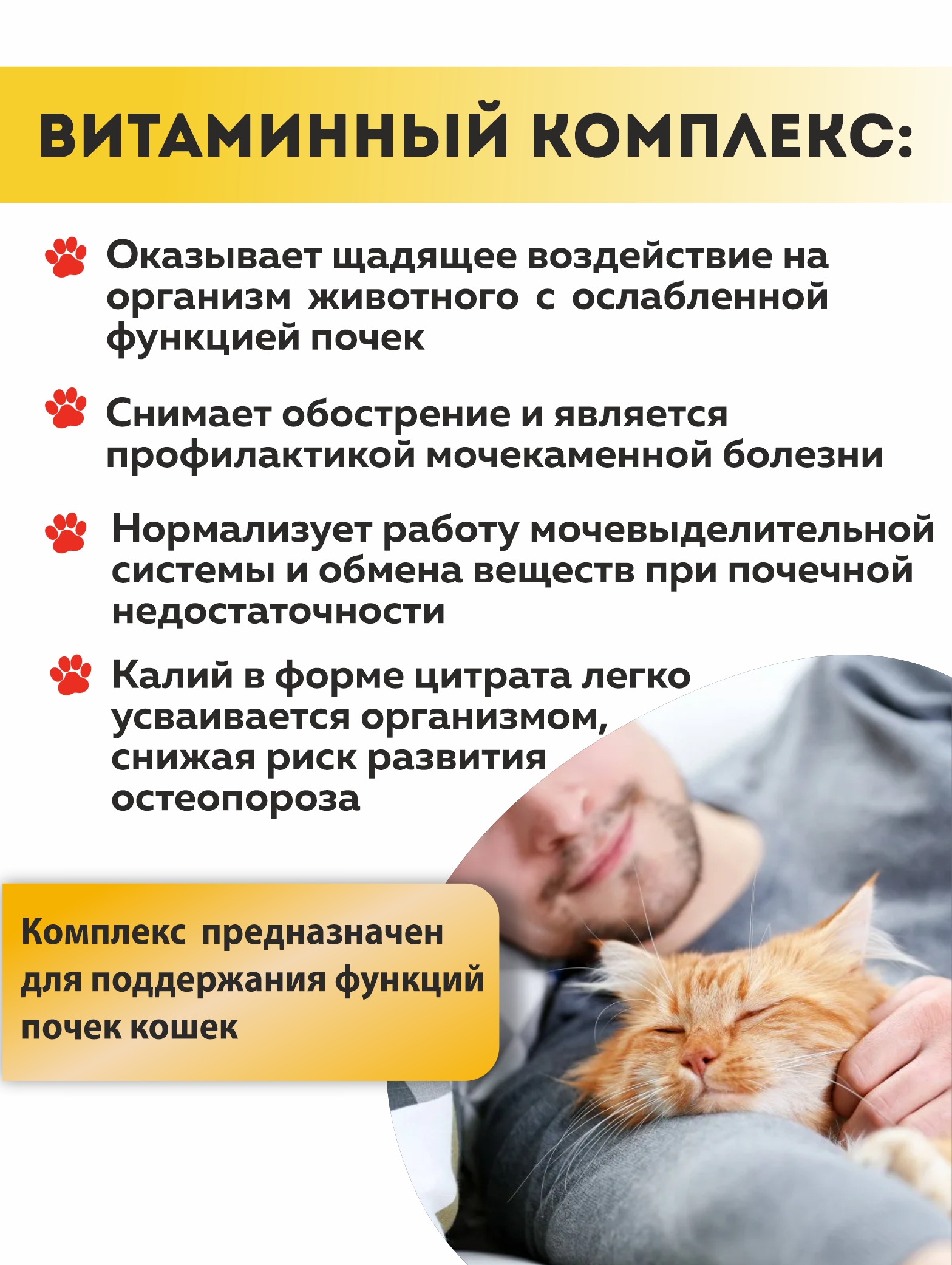 Витаминный комплекс ALTAI ANIMAL для кошек Здоровые почки - фото 2