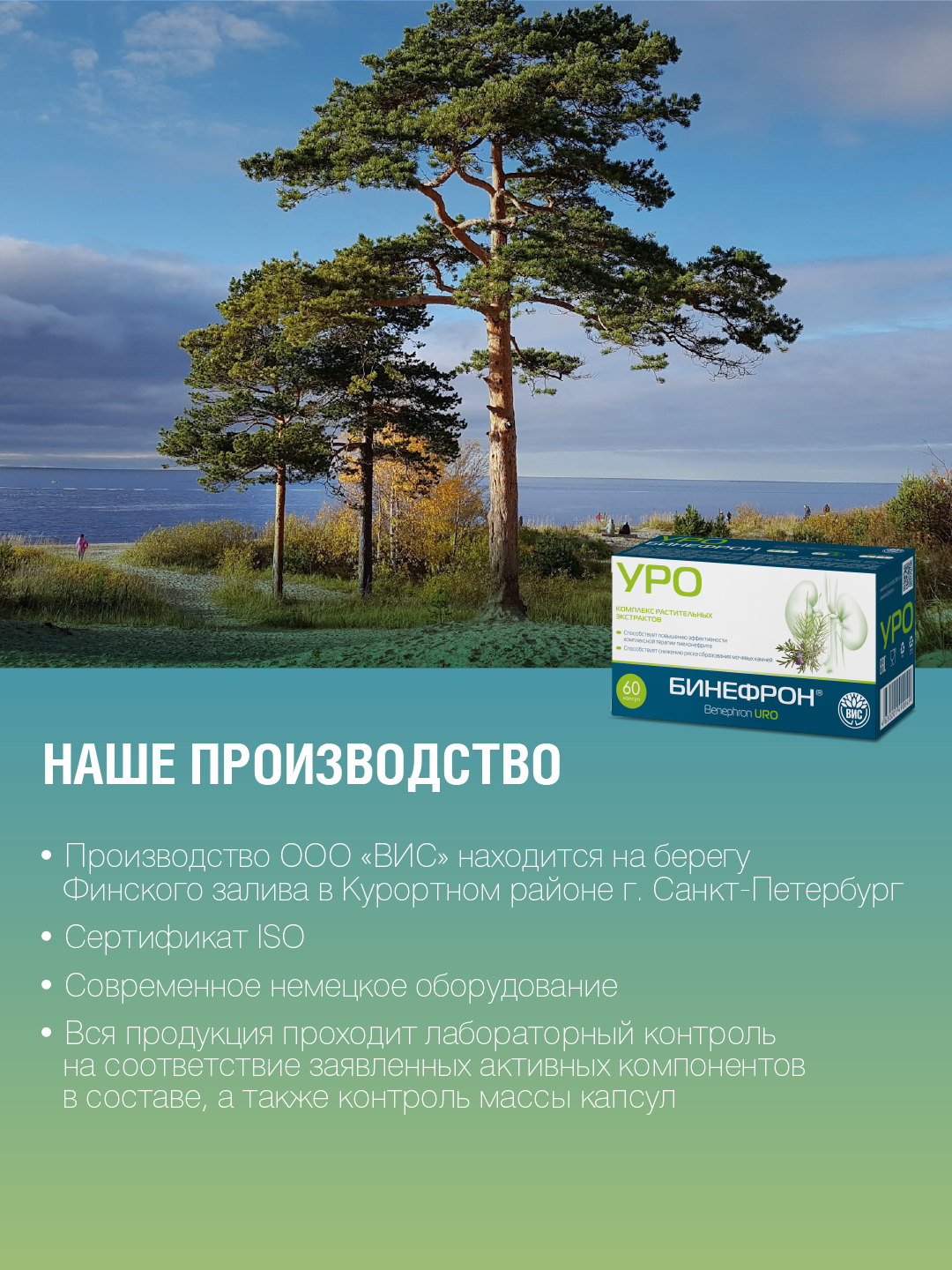 БАД ВИС Бинефрон УРО капсулы №60 - фото 9
