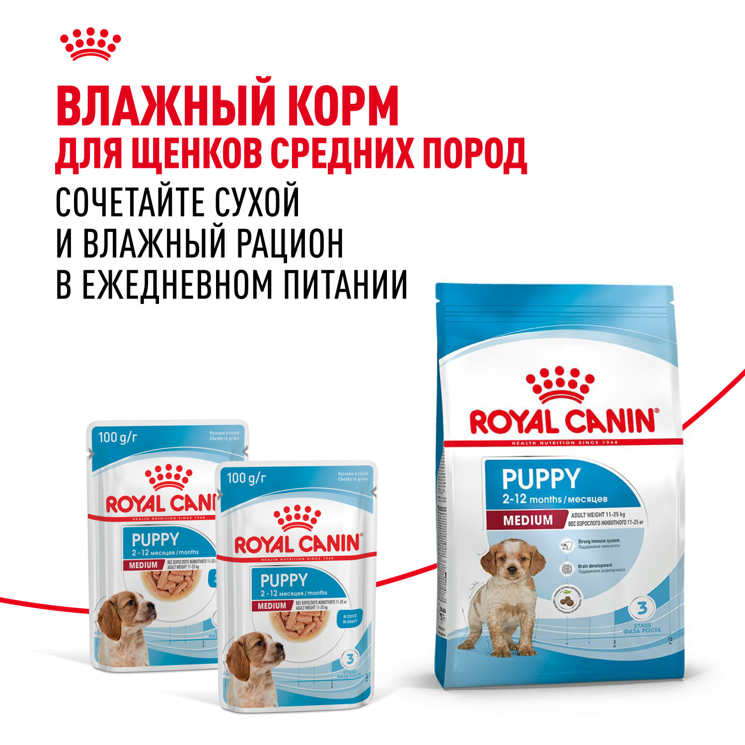 Корм для щенков ROYAL CANIN средних пород 2-12 месяцев 3кг - фото 8