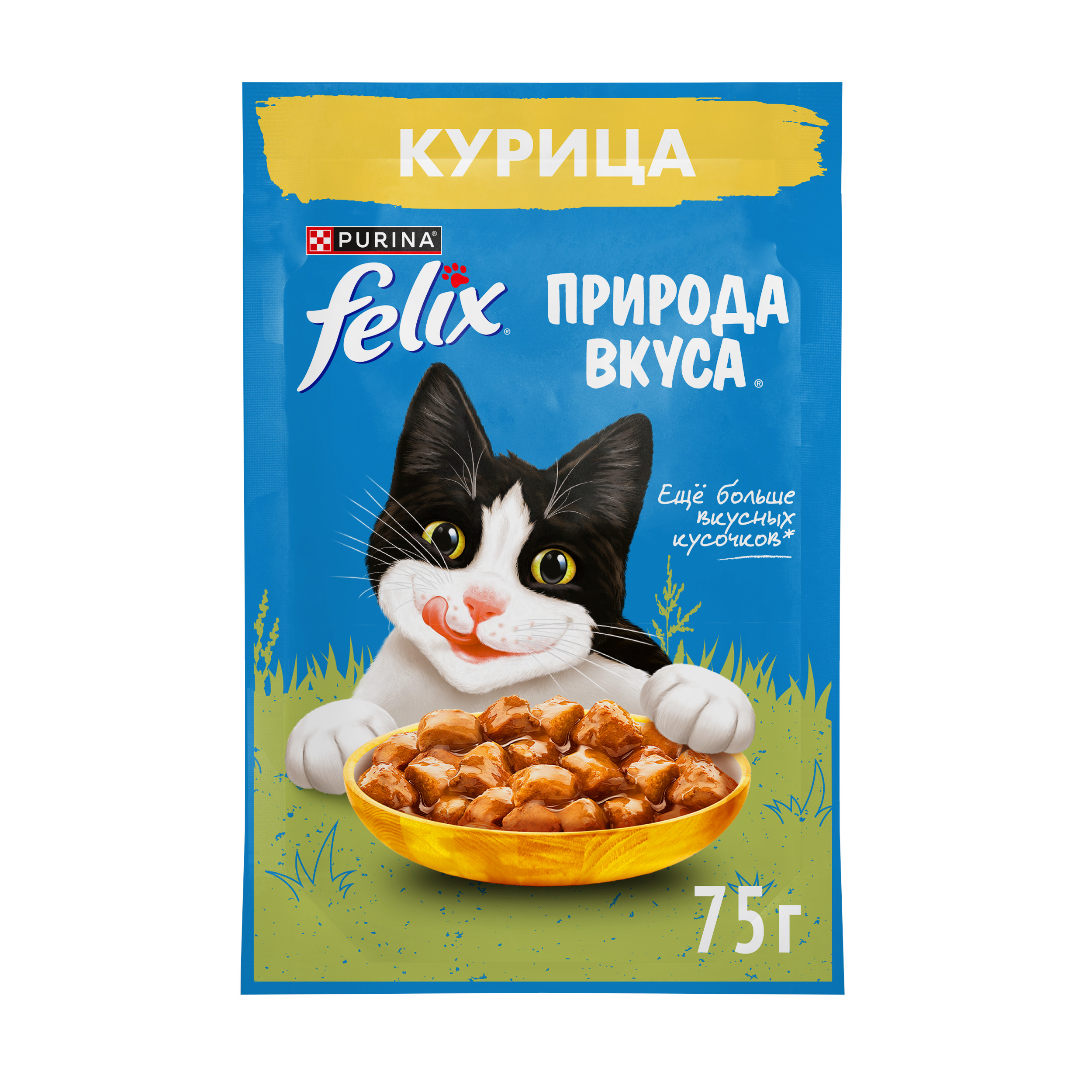 Корм для кошек Felix 75г для взрослых с курицей в соусе - фото 1