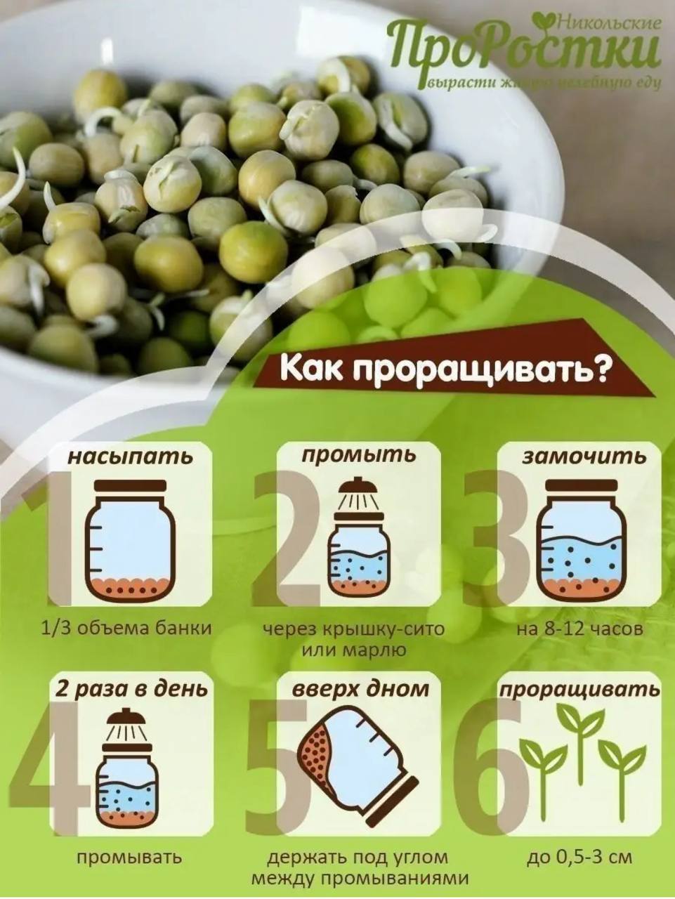 Семена для микрозелени Никольские ПроРостки горох зеленый - фото 10