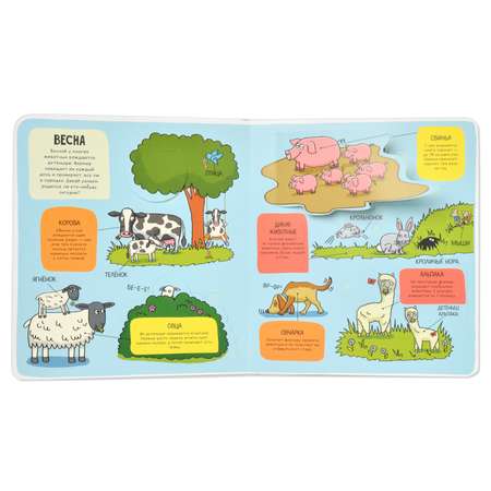 Книга Clever Маленькие исследователи книжки с клапанами На ферме
