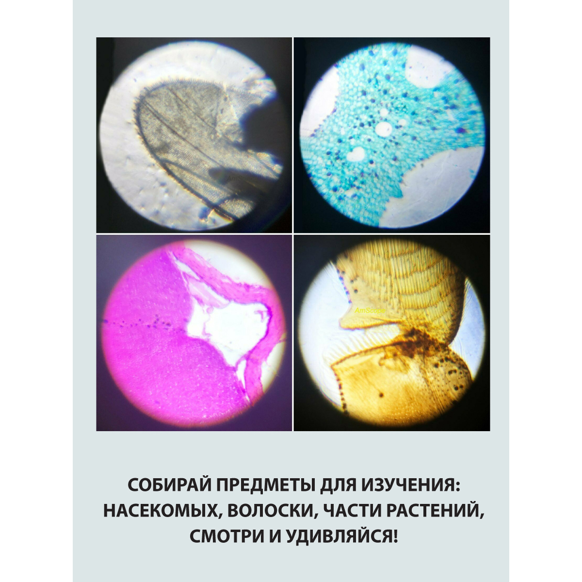 Микроскоп Veld Co - фото 7