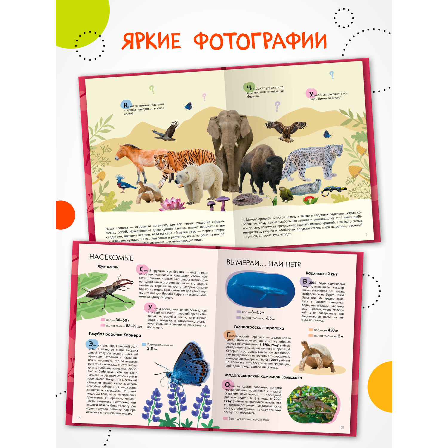 Книга МОЗАИКА kids Тайна пропавшей медали - фото 3