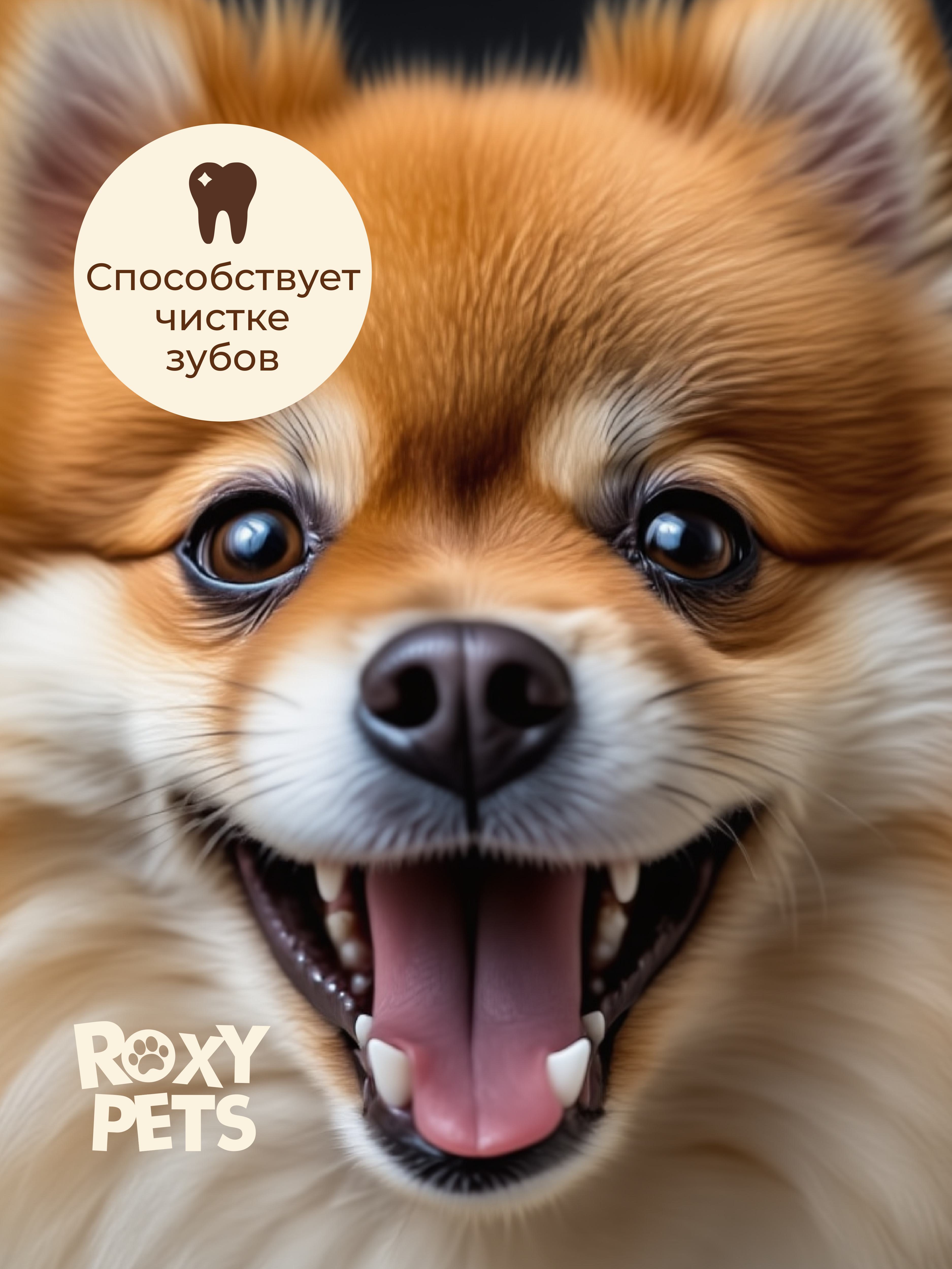 Лакомства Roxy Pets для собак и щенков ROXY PETS из вяленого куриного филе - фото 6