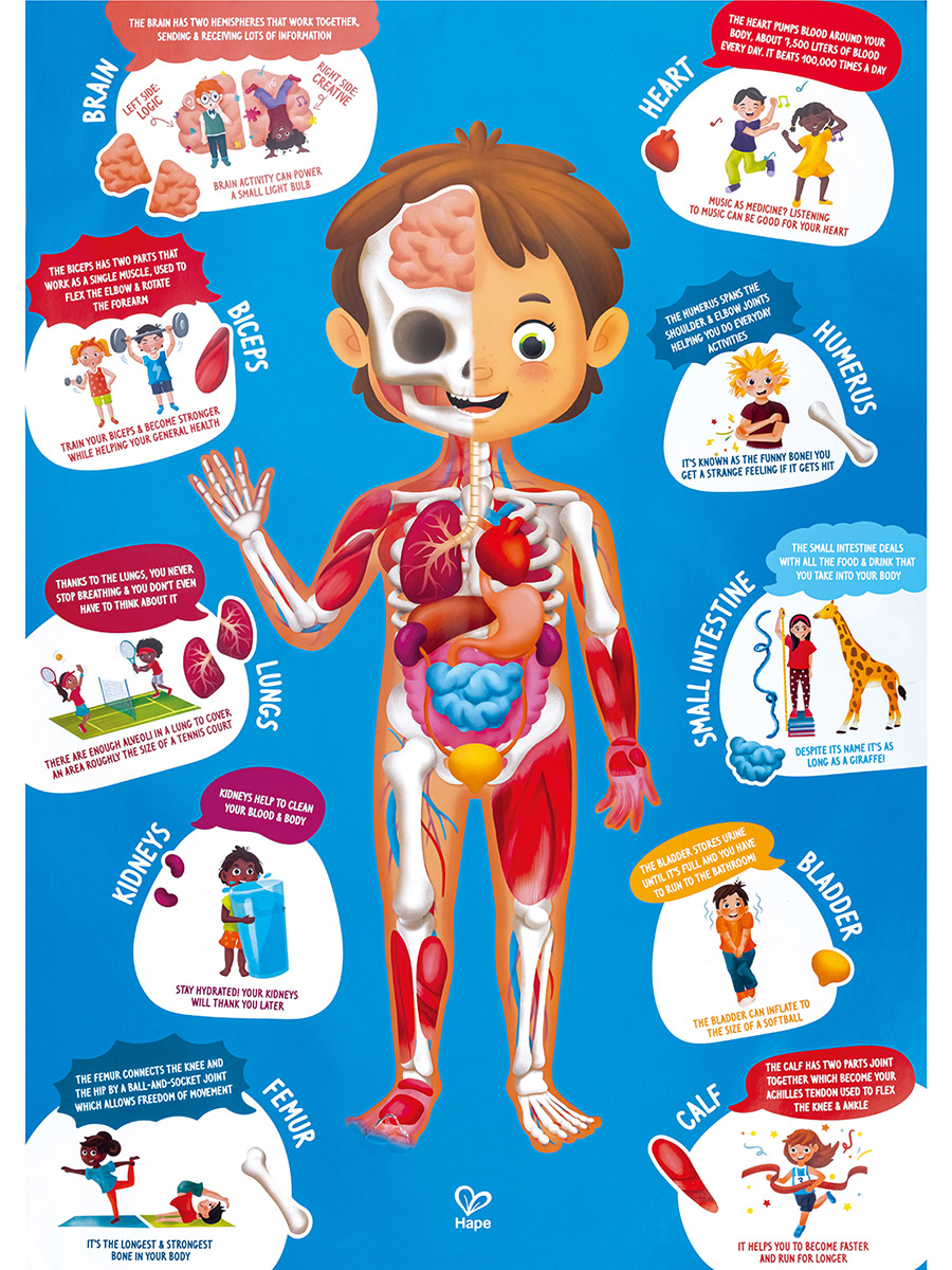 Пазл Hape классический - фото 7