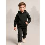 Худи и брюки Baby Stylе