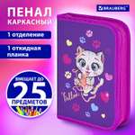 Пенал книжка Brauberg