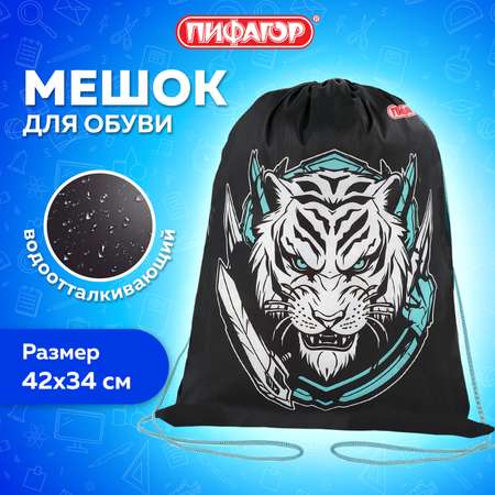 Мешок для обуви Пифагор