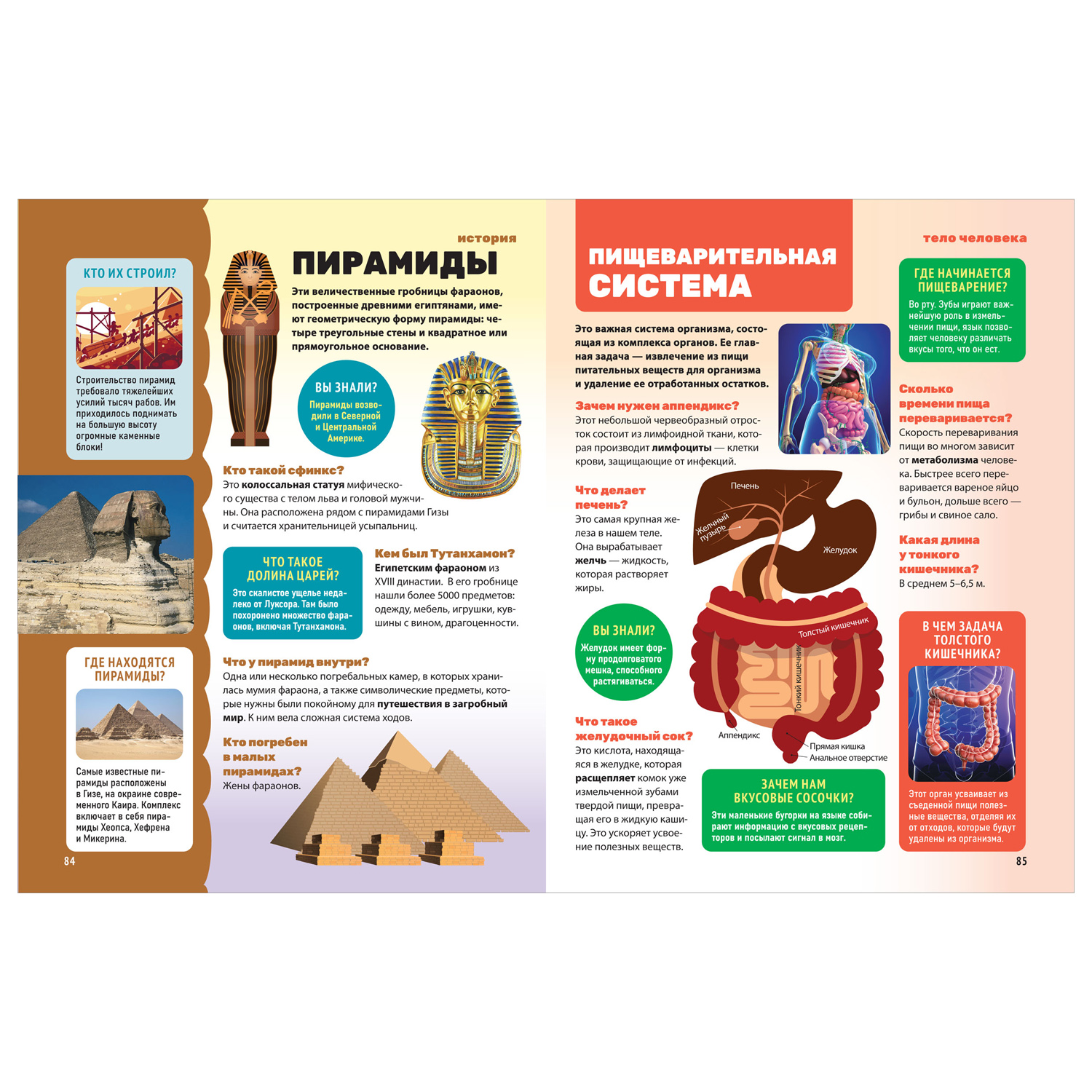 Книга Росмэн Энциклопедия обо всем 850 вопросов и ответов - фото 4