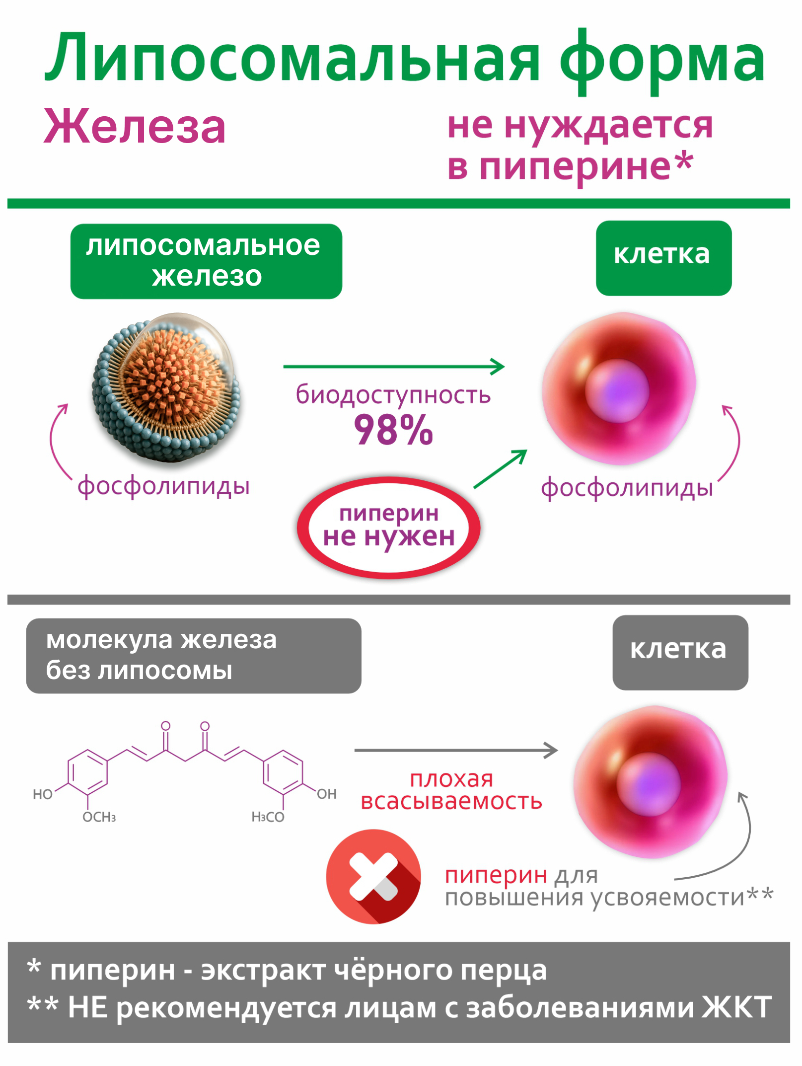 БАД Алтайские традиции Липосомальное железо с витамином С - фото 5
