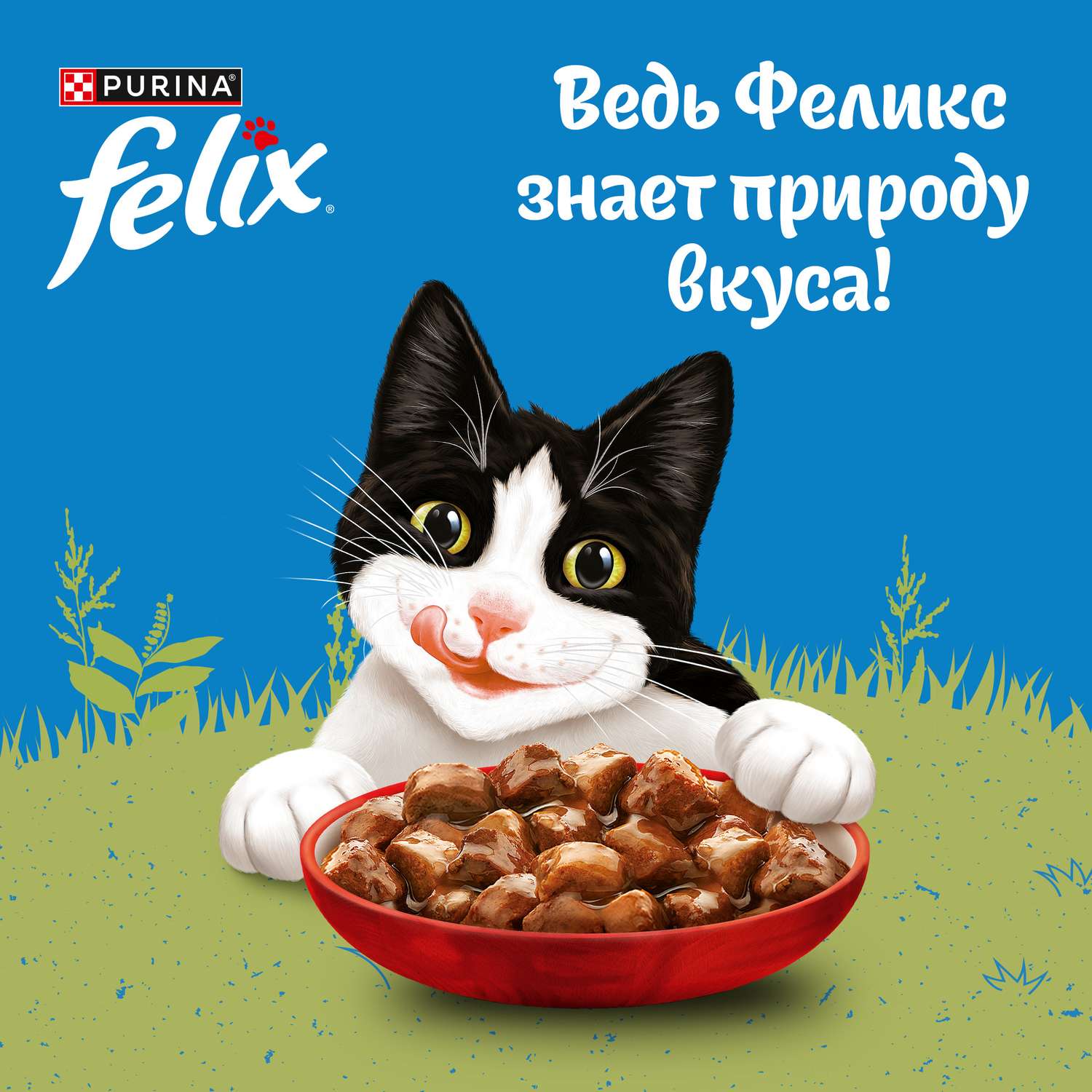 Корм для кошек Felix 75г для взрослых с говядиной в соусе - фото 9