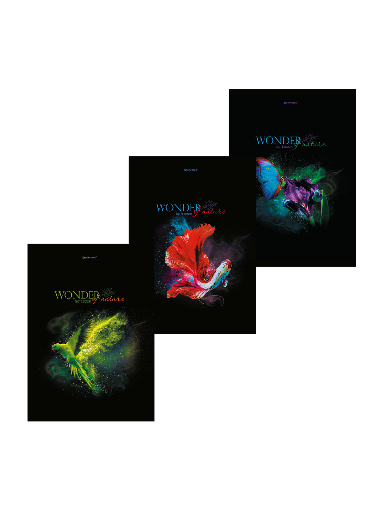 Общая тетрадь Brauberg клетка 96 лист. 3 шт. - фото 7