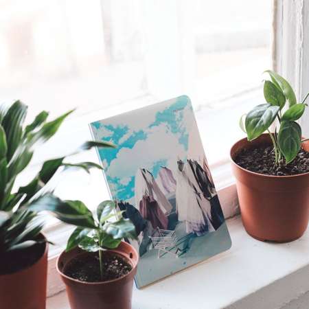 Блокнот Falafel books