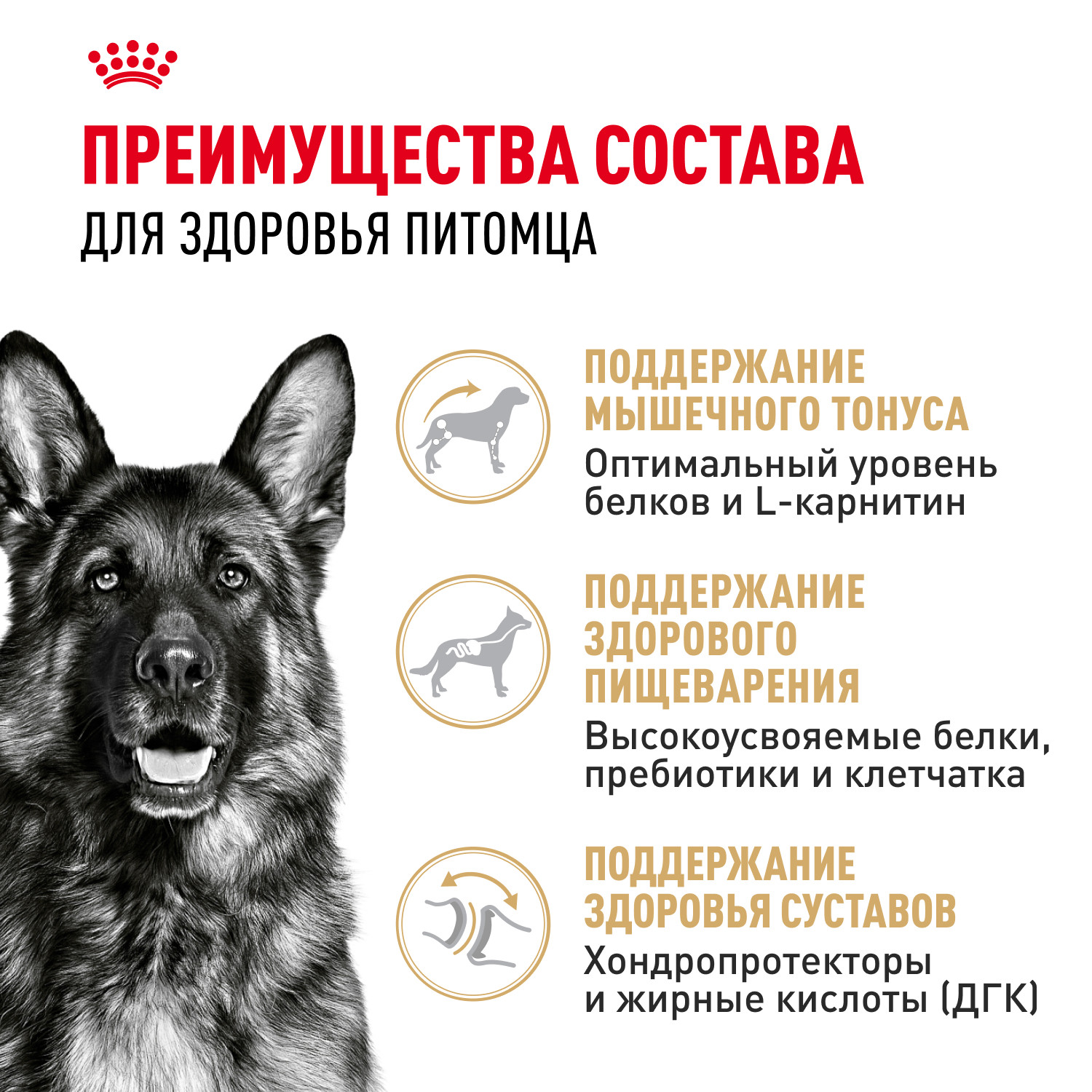 Корм для собак ROYAL CANIN German Shepherd породы немецкая овчарка 11кг - фото 3